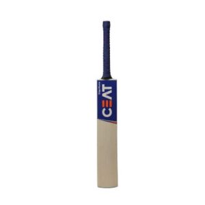 Home popular willow cricket bat